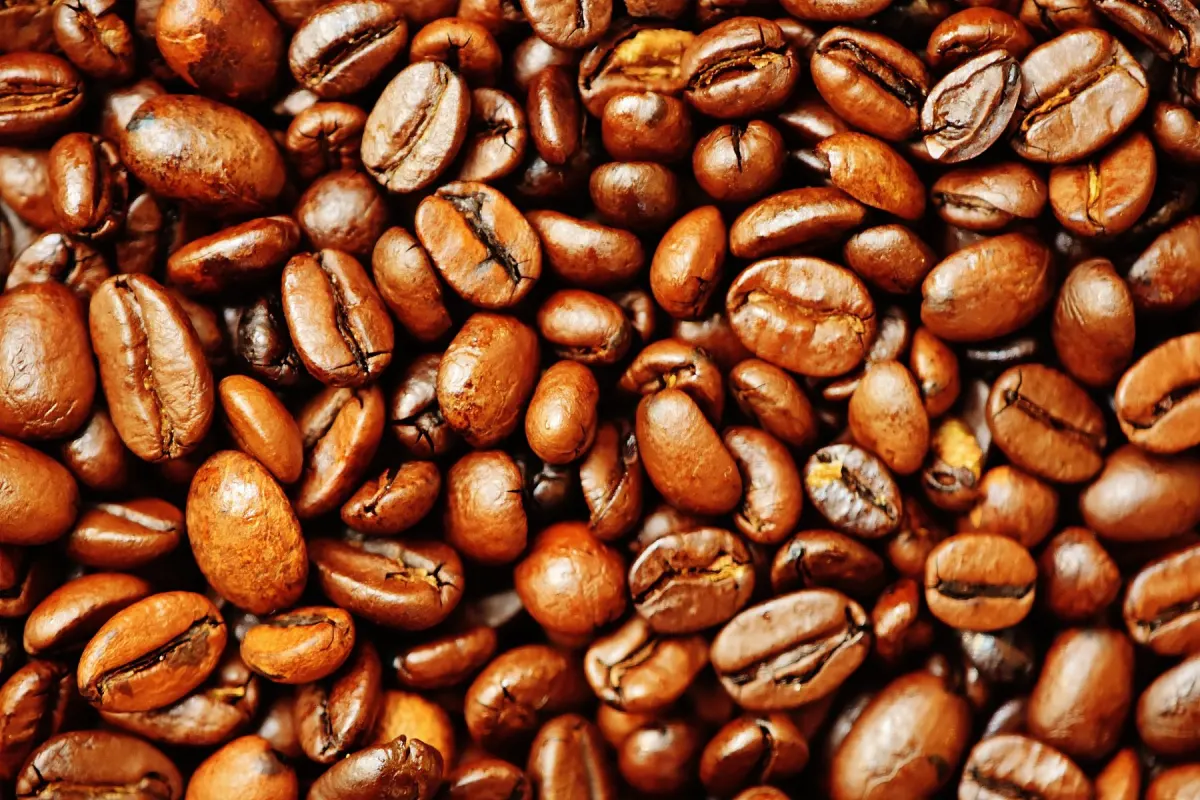 Freshly roasted coffee beans